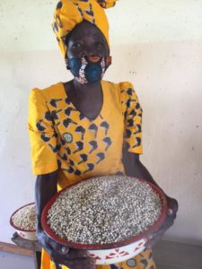 Read more about the article WEZ-Rufunsa Indigenous Seed Bank: Agricultural Investment to Share